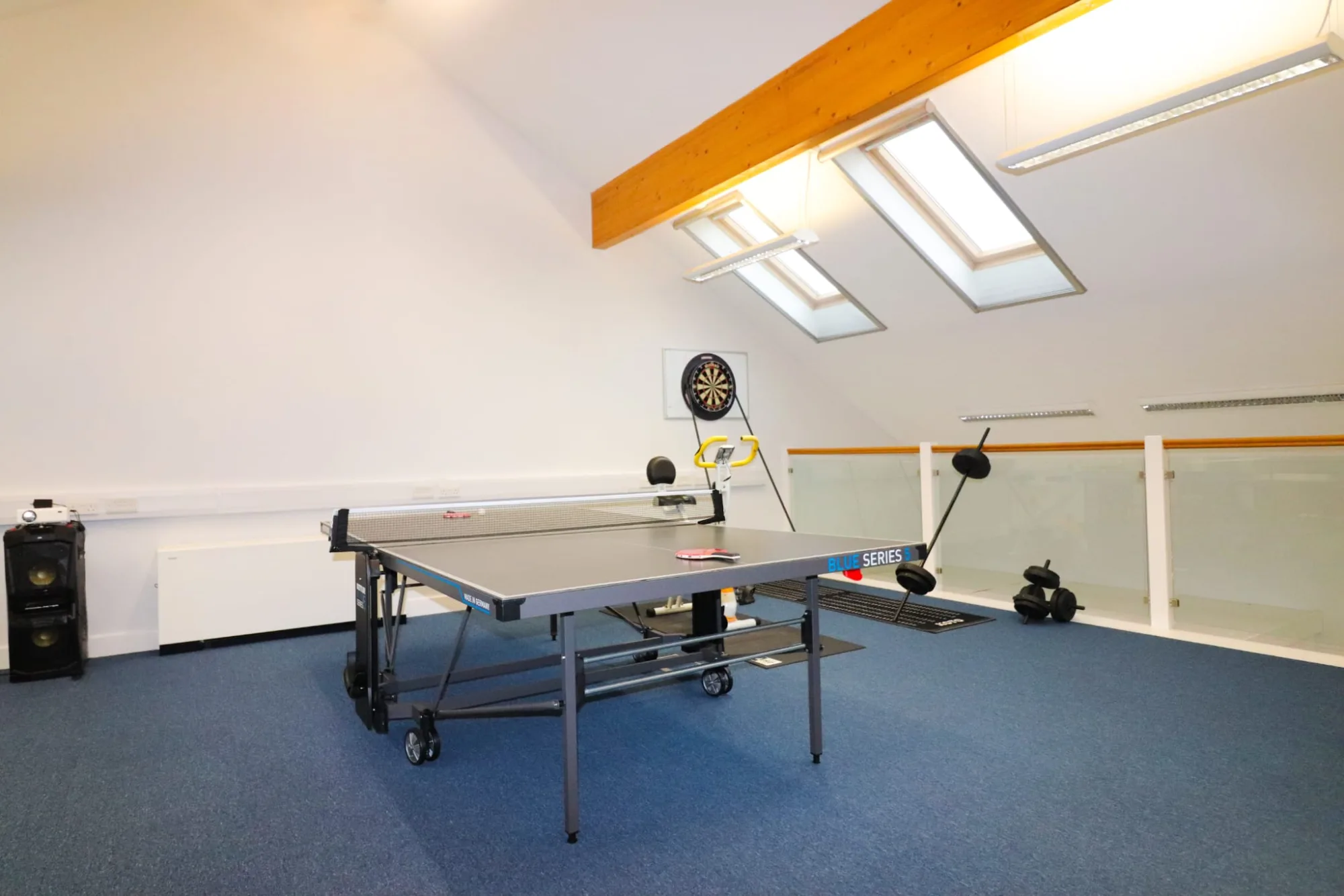 A table tennis table under skylights in a room with a pitched roof, a dartboard on the wall and an exercise bike on a mat beside a glass balustrade.